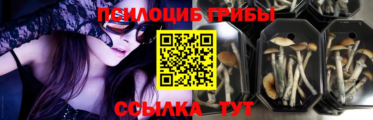 Псилоцибиновые грибы Magic Shrooms Дзержинский